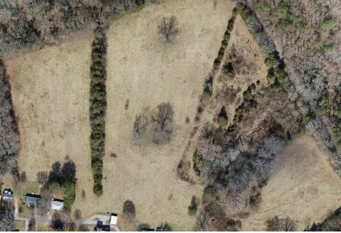 Morton Farms