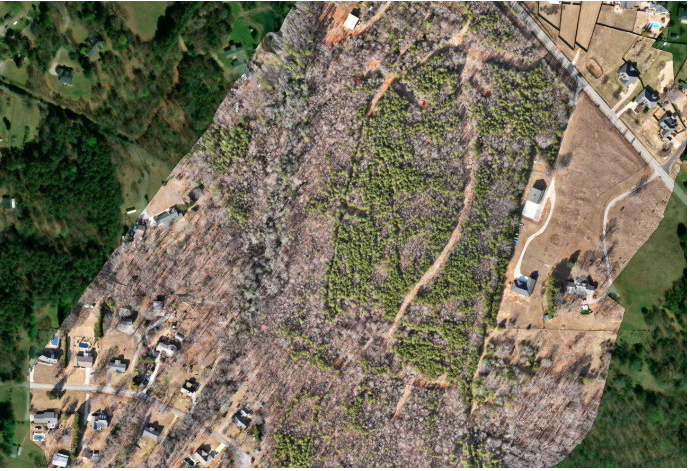 Hunters Grove